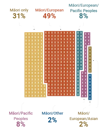 Ethnicity of Māori youth population in New Zeland: Māori only 31% Māori/European 49% Māori/European/Pacific Peoples 8% Māori/Pacific People 8% Māori/Other 2% Māori/European/Asian 2%